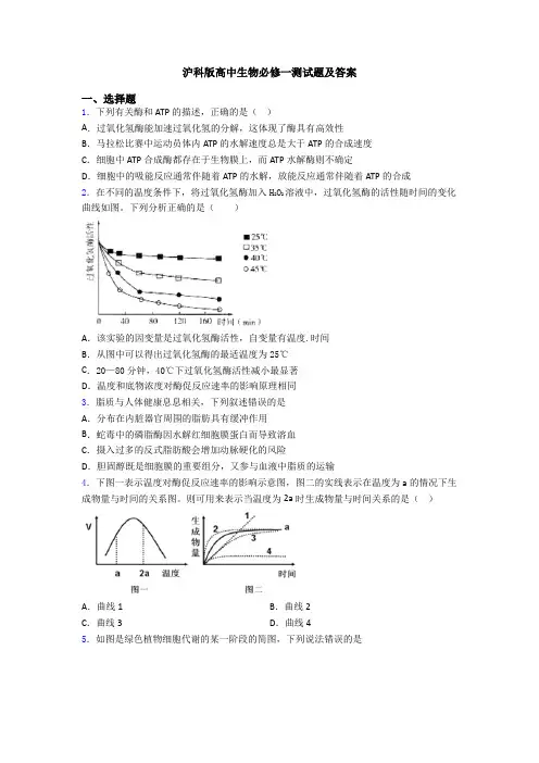 沪科版高中生物必修一测试题及答案