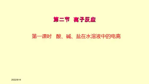 离子反应PPT