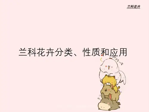 兰科花卉分类、性质与应用兰科