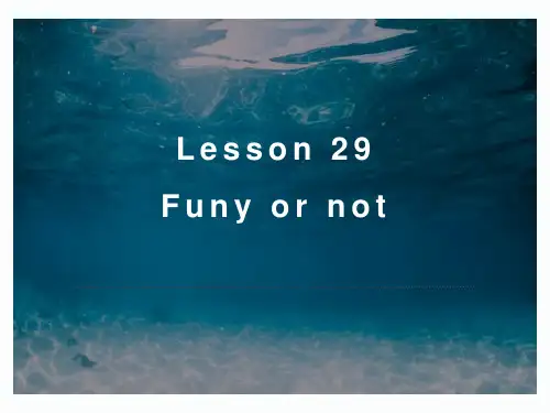 新概念英语第三册PPT课件：NCE3_lesson29(共10页)
