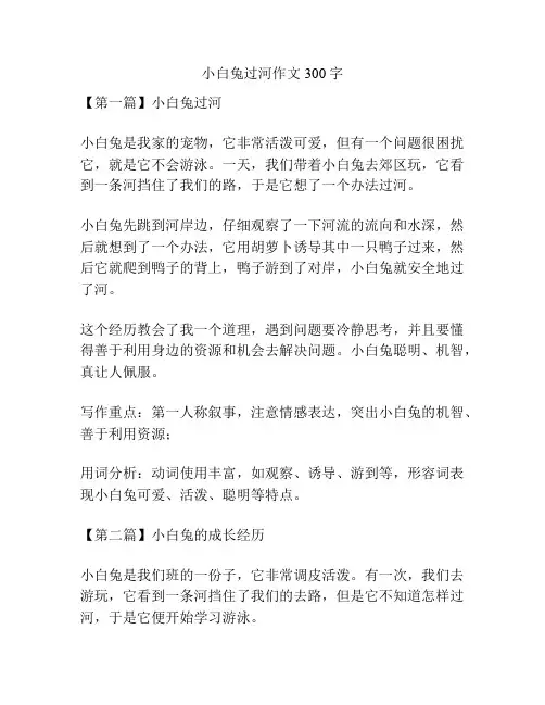 小白兔过河作文300字
