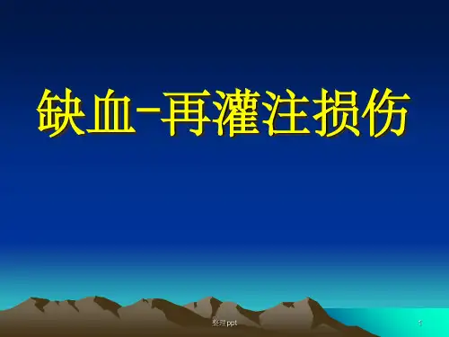 病理生理学缺血再灌注损伤必看ppt