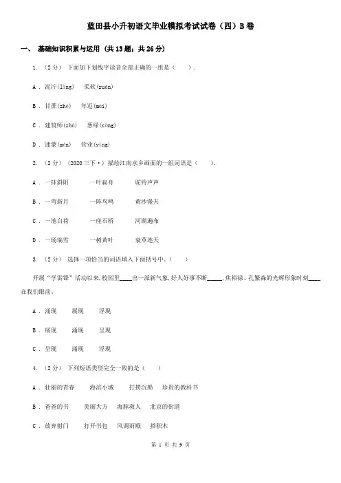 蓝田县小升初语文毕业模拟考试试卷(四)B卷