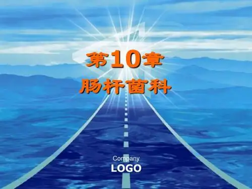 肠杆菌科