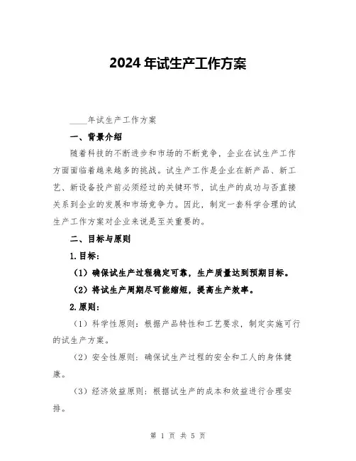 2024年试生产工作方案