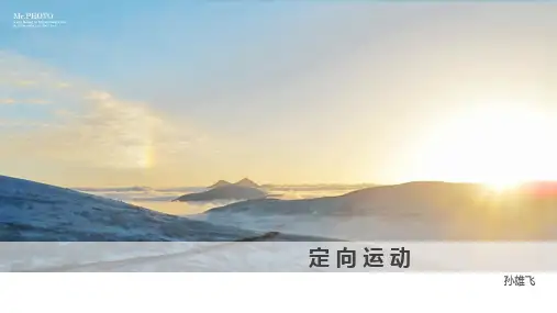 定向运动课件