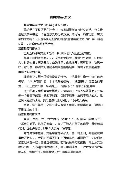 我喜爱菊花作文300字（精选5篇）