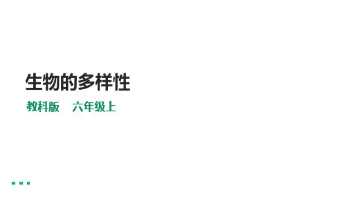 教科版科学六年级上册4.1校园生物大搜索课件