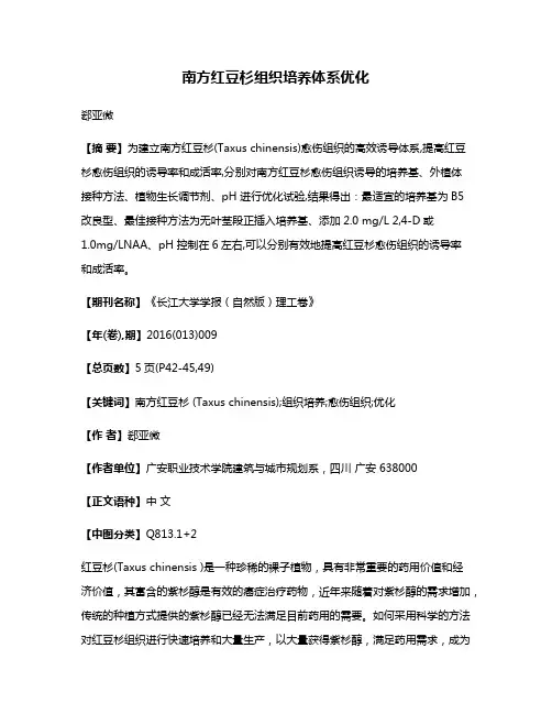 南方红豆杉组织培养体系优化