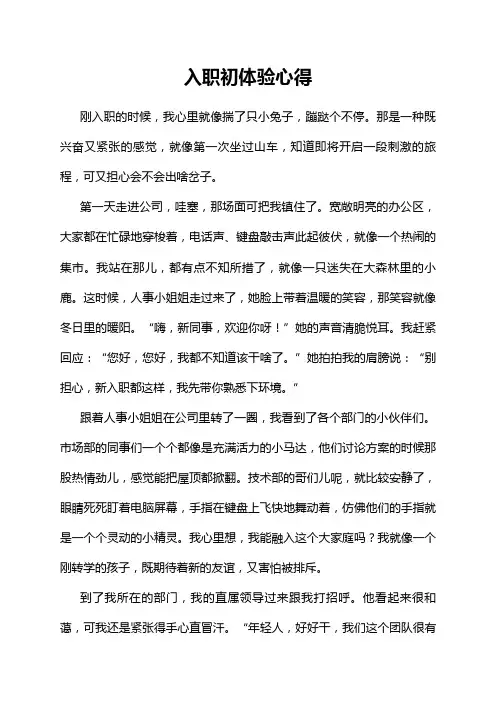 入职初体验心得