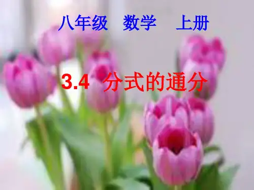 八年级数学3.4：分式的通分 课件