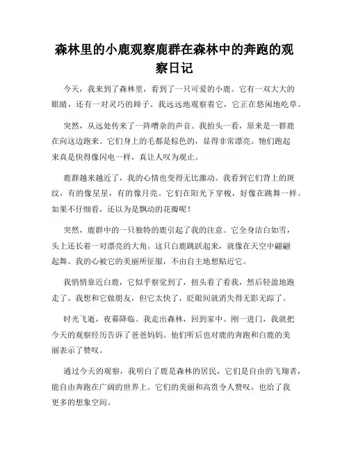 小学三年级作文森林里的小鹿观察鹿群在森林中的奔跑的观察日记