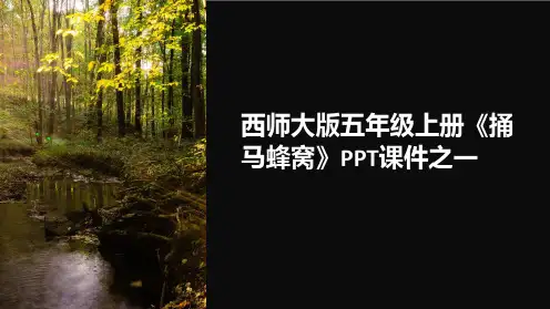 西师大版五年级上册《捅马蜂窝》课件之一