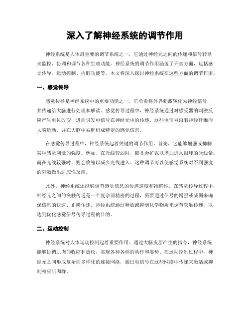 深入了解神经系统的调节作用