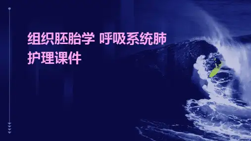 组织胚胎学 呼吸系统肺护理课件