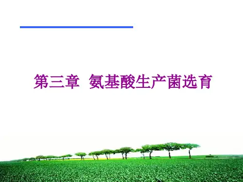 《氨基酸工艺学》3 氨基酸生产菌选育