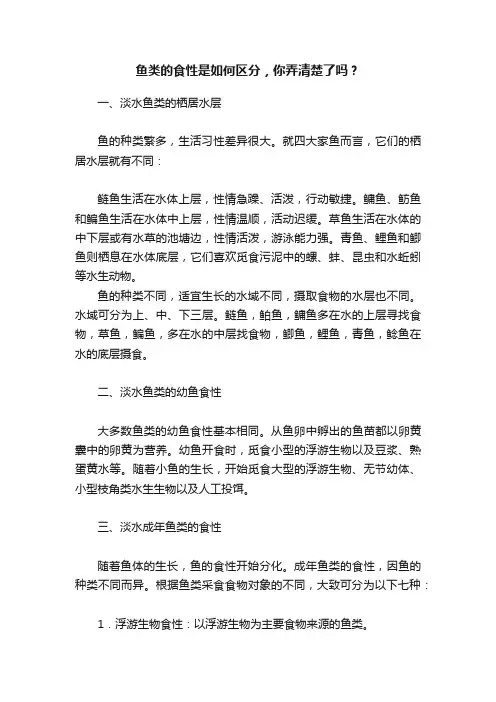 鱼类的食性是如何区分，你弄清楚了吗？