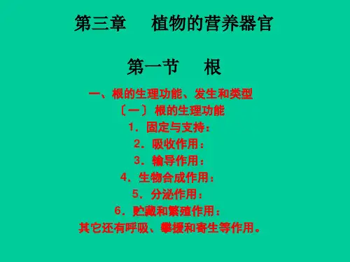 《营养器官》幻灯片PPT