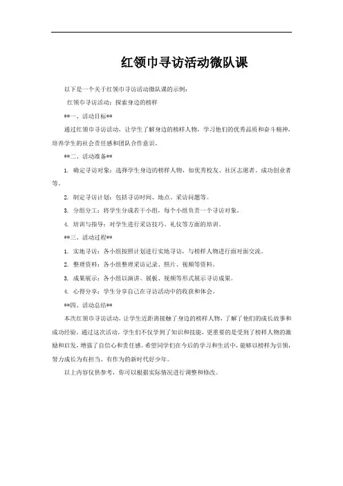 红领巾寻访活动微队课