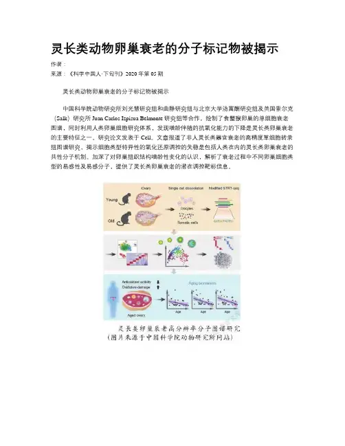 灵长类动物卵巢衰老的分子标记物被揭示