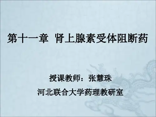 《抗肾上腺素药物》PPT课件