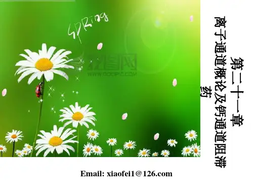第21章-离子通道概论及钙通道阻滞药(详细)