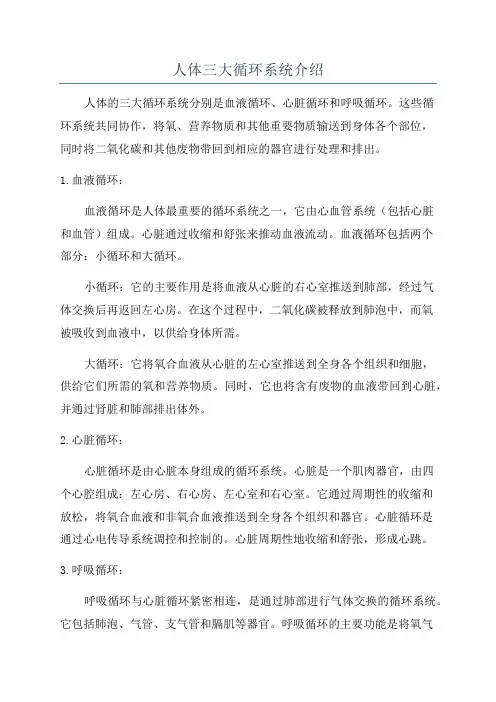 人体三大循环系统介绍