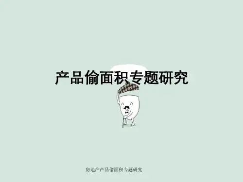 房地产产品偷面积专题研究