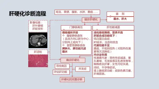 肝硬化诊断流程(流程图)