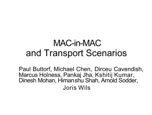 IEEE Mac-in-Mac 技术