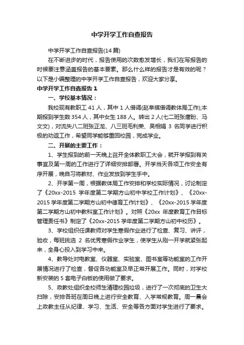 中学开学工作自查报告