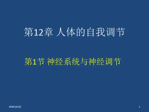 第一节神经系统与神经调节 ppt课件