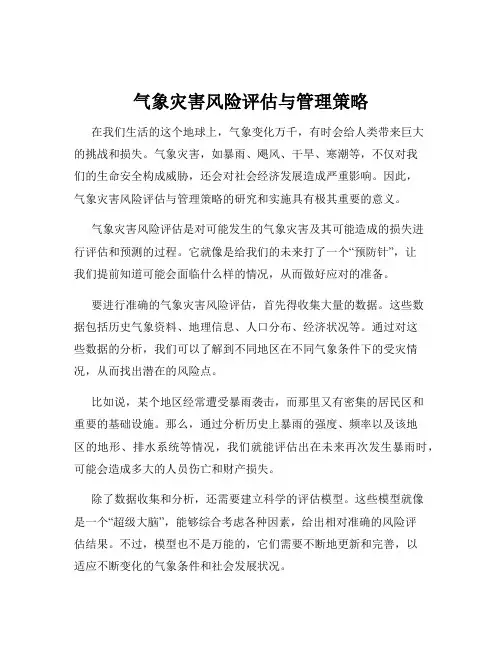 气象灾害风险评估与管理策略