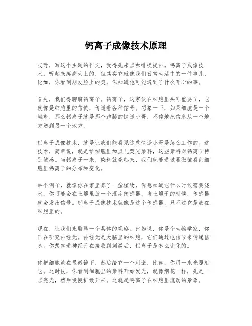 钙离子成像技术原理