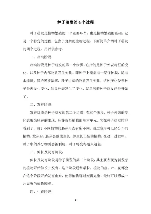 种子萌发的4个过程