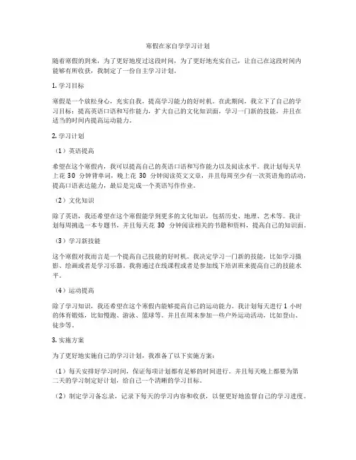 寒假在家自学学习计划