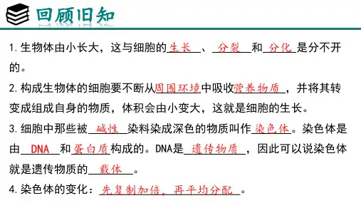 人教版生物七年级上册1.3.2《动物体的结构层次》教学课件