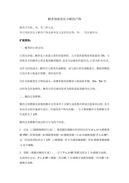 糖类彻底氧化分解的产物