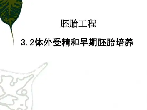 3.2体外受精和胚胎培养
