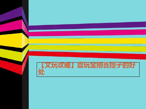 【文玩攻略】盘玩金刚菩提子的好处(分析“菩提子”文档)共6张PPT