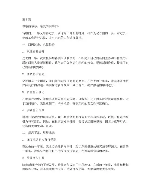 记者团成员年度总结(3篇)
