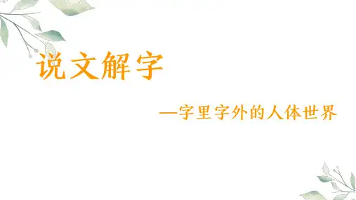 字里字外的人体世界(人、心、肉、目)
