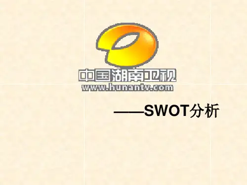 湖南卫视的SWOT分析