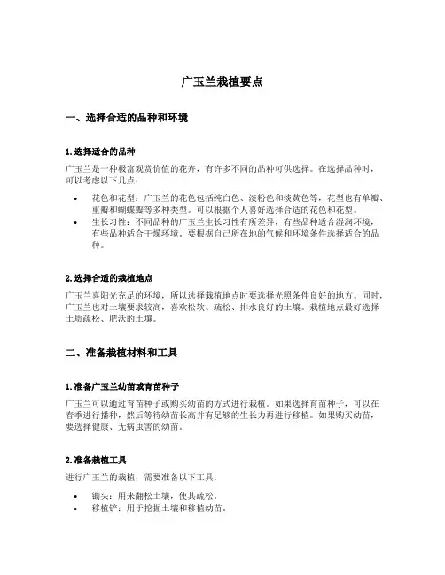 广玉兰栽植要点