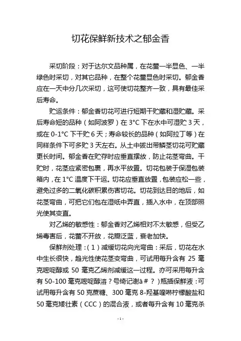 切花保鲜新技术之郁金香