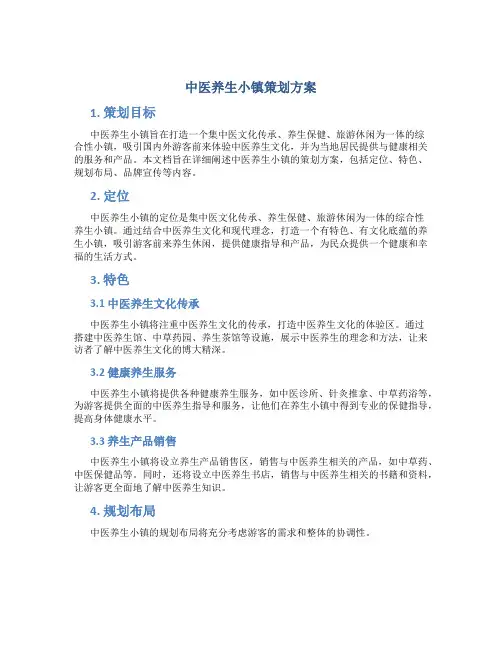 中医养生小镇策划方案
