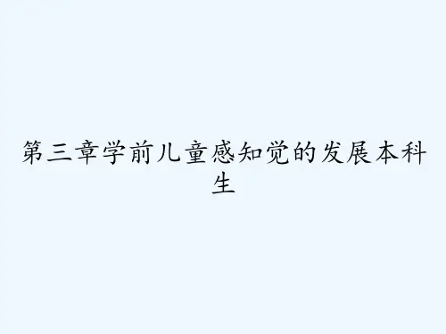 第三章学前儿童感知觉的发展本科生 PPT