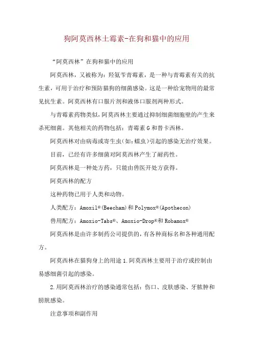 狗阿莫西林土霉素-在狗和猫中的应用