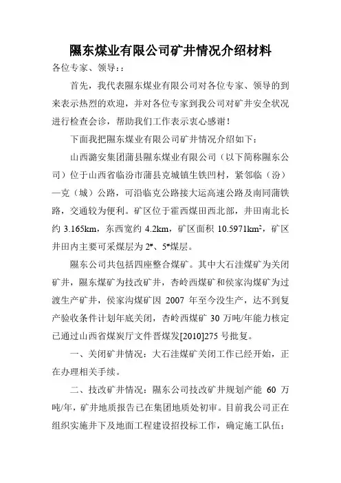 隰东煤业有限公司矿井情况介绍材料