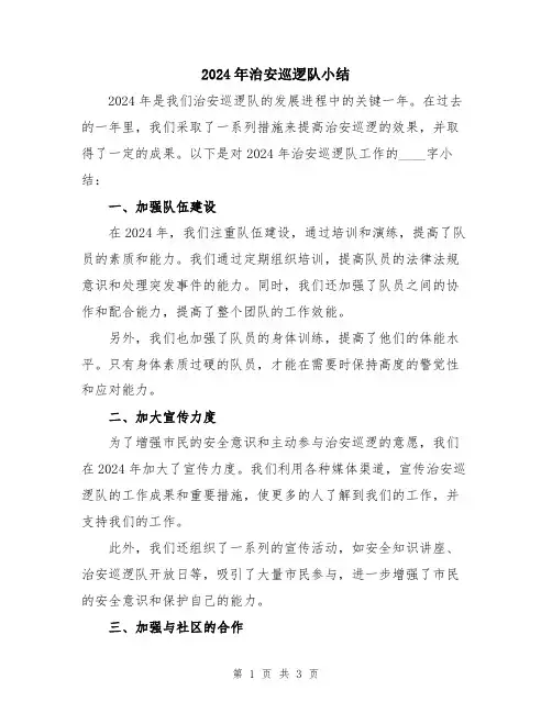 2024年治安巡逻队小结